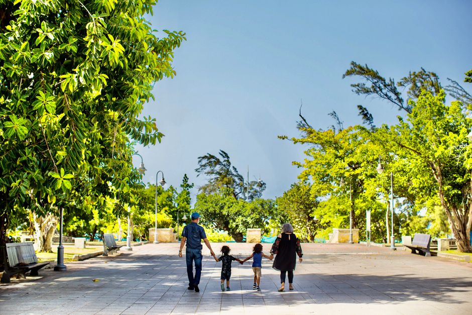 A family walking in a park